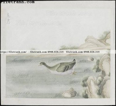 File ảnh buc anh hoa co chim muong mau sac nhe nhang 154 (gốc) in Hiflex