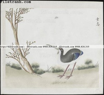 Mua file tranh gốc buc anh hoa co chim muong mau sac nhe nhang 159 tại Filetranh.com