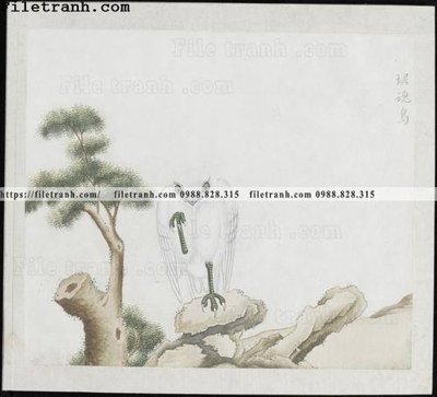 File gốc buc anh hoa co chim muong mau sac nhe nhang 173 (dành cho trang trí nội thất)