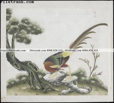 Tệp tin gốc buc anh hoa co chim muong mau sac nhe nhang 174 (chất lượng cao) buc anh hoa co chim muong mau sac nhe nhang 174