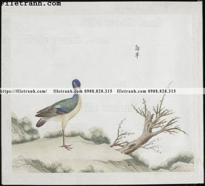 Tải file buc anh hoa co chim muong mau sac nhe nhang 178 (gốc) làm tranh treo tường