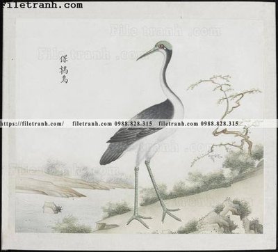 File tranh in trần 3D buc anh hoa co chim muong mau sac nhe nhang 189 (ảnh gốc)