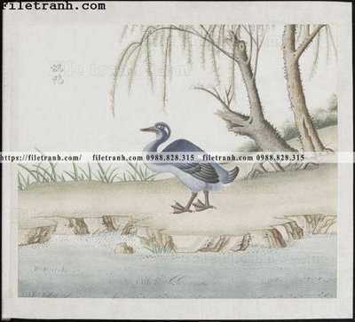 File tranh quảng cáo buc anh hoa co chim muong mau sac nhe nhang 193 (file gốc) chuyên nghiệp