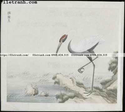 File tranh gốc buc anh hoa co chim muong mau sac nhe nhang 200 (bản quyền) file PSD