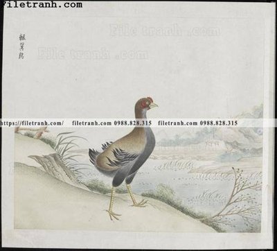 Tải file gốc buc anh hoa co chim muong mau sac nhe nhang 202 (in tráng gương) cao cấpFile gốc buc anh hoa co chim muong mau sac nhe nhang 202 (in ấn) phiên bản độc quyền