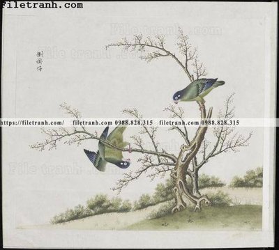 Tải file buc anh hoa co chim muong mau sac nhe nhang 204 (gốc) in ấn ngay lập tức