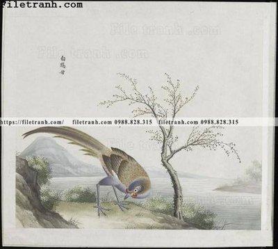 File ảnh buc anh hoa co chim muong mau sac nhe nhang 208 (gốc) in biển hiệu