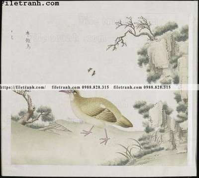 Tải file buc anh hoa co chim muong mau sac nhe nhang 212 (gốc) chủ đề tâm linh