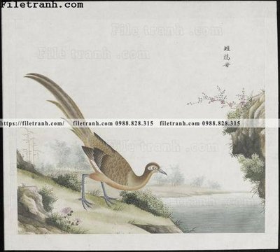 Download file buc anh hoa co chim muong mau sac nhe nhang 217 (chất lượng in ấn)