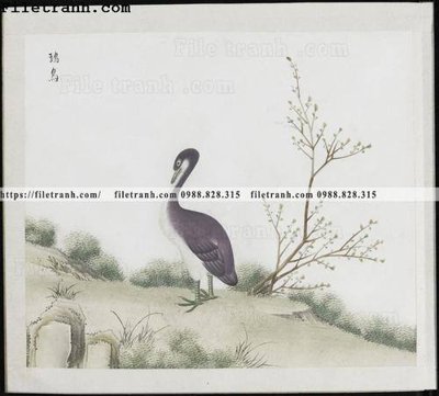 File PSD buc anh hoa co chim muong mau sac nhe nhang 238 (chất lượng in ấn)