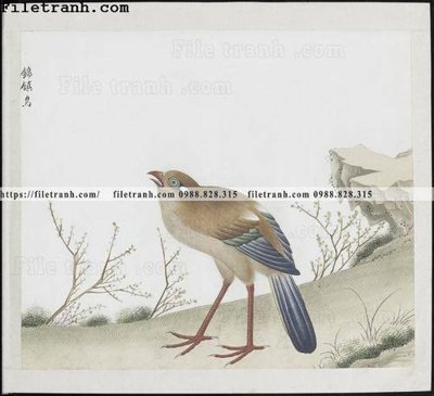 Tải file buc anh hoa co chim muong mau sac nhe nhang 243 (gốc) làm tranh trang trí
