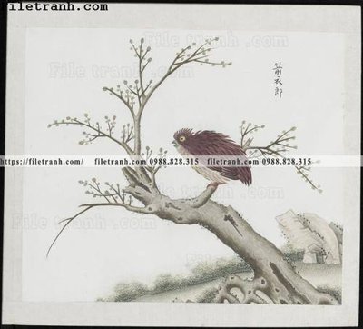 Tải file buc anh hoa co chim muong mau sac nhe nhang 245 (gốc) làm tranh treo tường