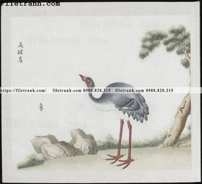 File gốc buc anh hoa co chim muong mau sac nhe nhang 252 (phiên bản chuẩn) để in ấn