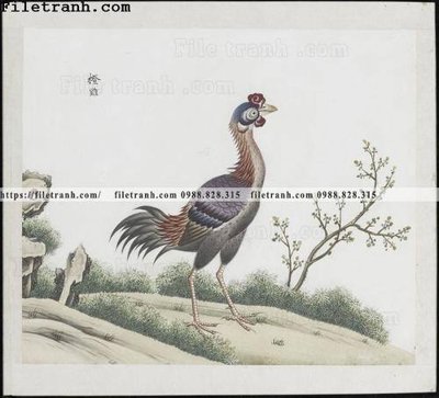 File tranh buc anh hoa co chim muong mau sac nhe nhang 273 (gốc) in backlit film