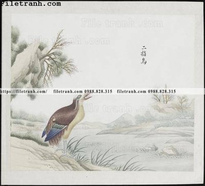 File gốc buc anh hoa co chim muong mau sac nhe nhang 277 (PNG) nền trong suốt