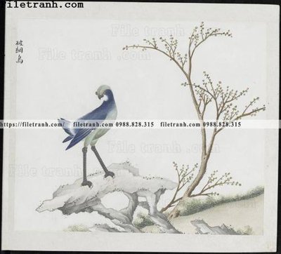 File in trần buc anh hoa co chim muong mau sac nhe nhang 283 (file gốc) xuyên sáng