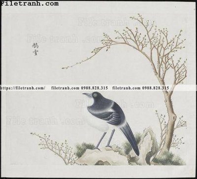 File tranh buc anh hoa co chim muong mau sac nhe nhang 303 (file gốc) chuẩn màu in