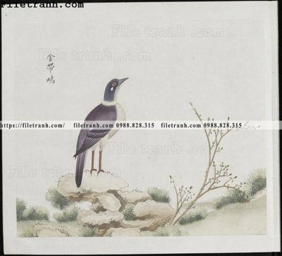 File tranh quảng cáo buc anh hoa co chim muong mau sac nhe nhang 304 (file gốc) chuyên nghiệp