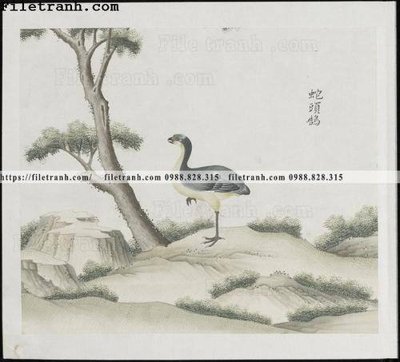 File gốc buc anh hoa co chim muong mau sac nhe nhang 306 (cho in 3D) độc đáo