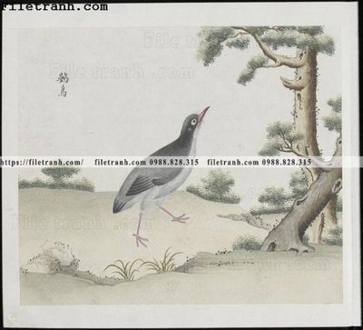 File in trần buc anh hoa co chim muong mau sac nhe nhang 308 (bản gốc) bầu trời