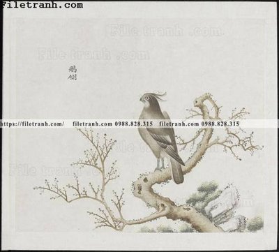 File gốc buc anh hoa co chim muong mau sac nhe nhang 315 (ảnh chi tiết) để in ấn