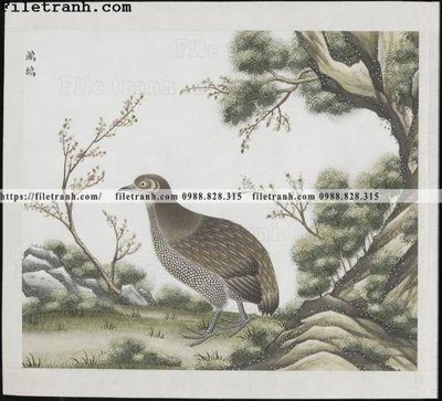 Tải về file tranh gốc buc anh hoa co chim muong mau sac nhe nhang 316 (để in quảng cáo)