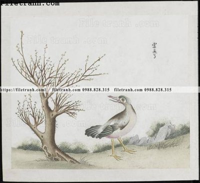 File gốc buc anh hoa co chim muong mau sac nhe nhang 322 (cho in UV) siêu nét