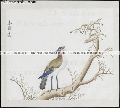 File PSD buc anh hoa co chim muong mau sac nhe nhang 329 (bản gốc) đã tách nền