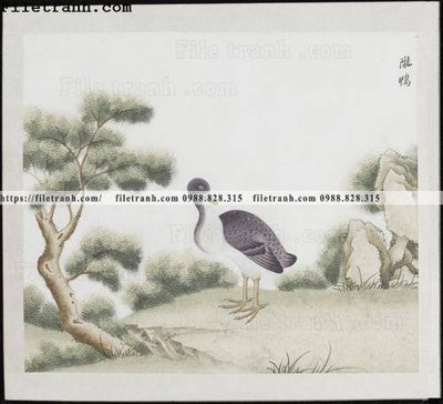 File tranh in tráng gương buc anh hoa co chim muong mau sac nhe nhang 334 (siêu nét)