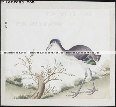 Download file gốc buc anh hoa co chim muong mau sac nhe nhang 337 (in mica) 3D