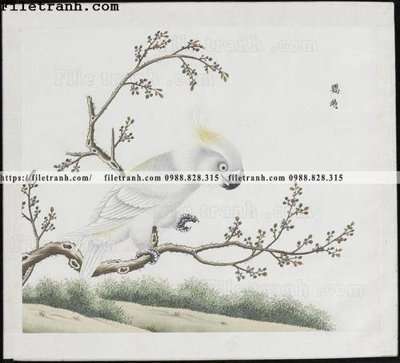 Tải file buc anh hoa co chim muong mau sac nhe nhang 343 (ảnh gốc) in tranh kính