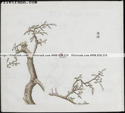 Hình ảnh gốc buc anh hoa co chim muong mau sac nhe nhang 348 (để in khổ lớn)