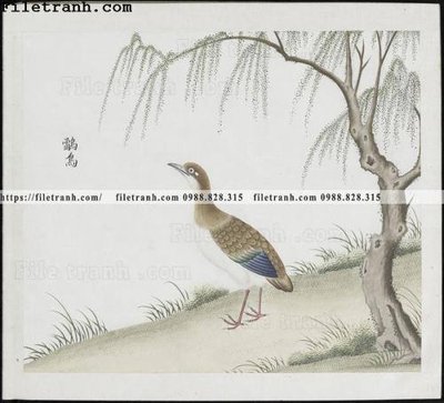 Tệp tin gốc buc anh hoa co chim muong mau sac nhe nhang 349 (chất lượng cao) buc anh hoa co chim muong mau sac nhe nhang 349