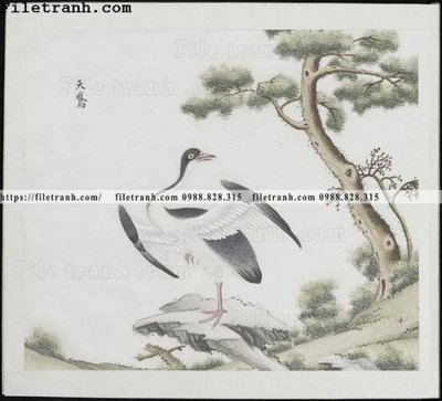 File gốc buc anh hoa co chim muong mau sac nhe nhang 350 (phong cách) cổ điển