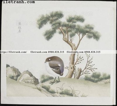 Chi tiết file gốc buc anh hoa co chim muong mau sac nhe nhang 360 (cho in tráng gương)