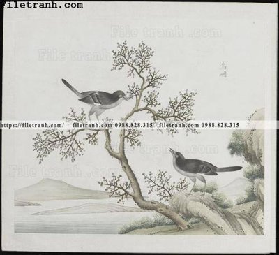 File in trần buc anh hoa co chim muong mau sac nhe nhang 362 (file gốc) chủ đề vũ trụ