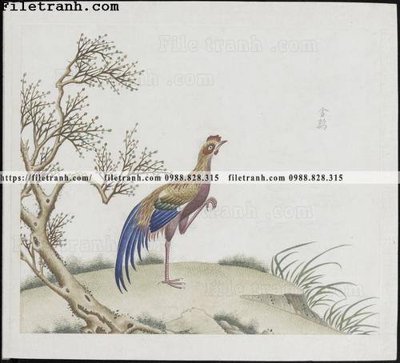 File gốc buc anh hoa co chim muong mau sac nhe nhang 363 (chuẩn CMYK) cho nhà in