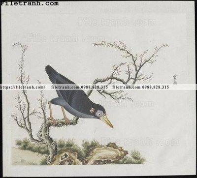 File tranh gốc buc anh hoa co chim muong mau sac nhe nhang 367 (bản đẹp) độc quyền