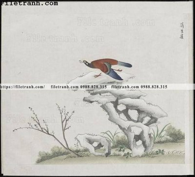 File ảnh buc anh hoa co chim muong mau sac nhe nhang 368 (gốc) cho trang trí nhà hàng