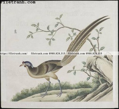 File tranh buc anh hoa co chim muong mau sac nhe nhang 382 (file gốc) chuẩn màu in