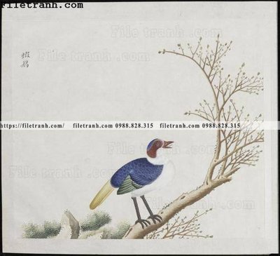 Download file buc anh hoa co chim muong mau sac nhe nhang 384 (chuẩn in) chất lượng cao