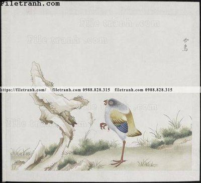 Tải file buc anh hoa co chim muong mau sac nhe nhang 387 (gốc) in nhanh