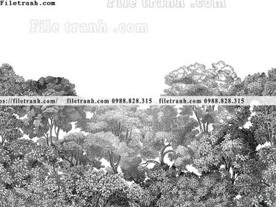 File gốc buc anh ve la rung cay nhiet doi chau Au co dien208 (cho in ấn) độc quyền