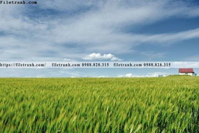 Tệp tin gốc buc anh ve nguoi chup 508 (chất lượng cao) buc anh ve nguoi chup 508