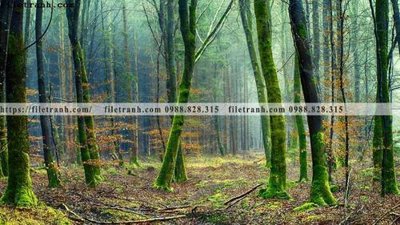 Download file buc anh ve nguoi chup 519 (gốc) in mica cao cấp