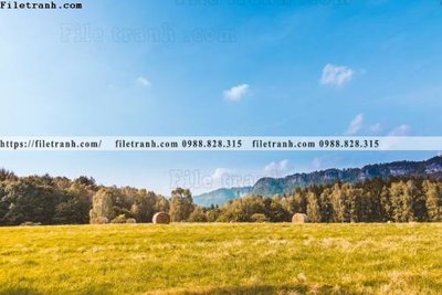 Tải file gốc buc anh ve nguoi chup 533 (để in lụa)