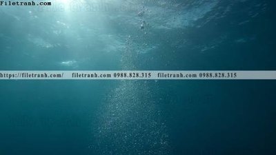 Ảnh gốc file in lụa buc anh ve nguoi chup 535 chi tiết