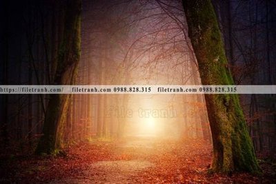 Download file buc anh ve nguoi chup 540 (gốc) in mica đèn LED