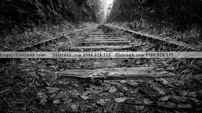 Tải về file tranh gốc buc anh ve nguoi chup 553 (để in quảng cáo)