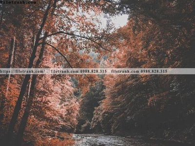 Chi tiết file gốc buc anh ve nguoi chup 569 (cho in tráng gương)